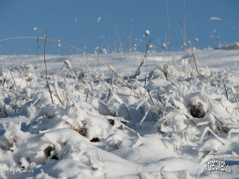 09_La neve ghiacciata sull'erba.JPG